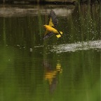 _CHA2882